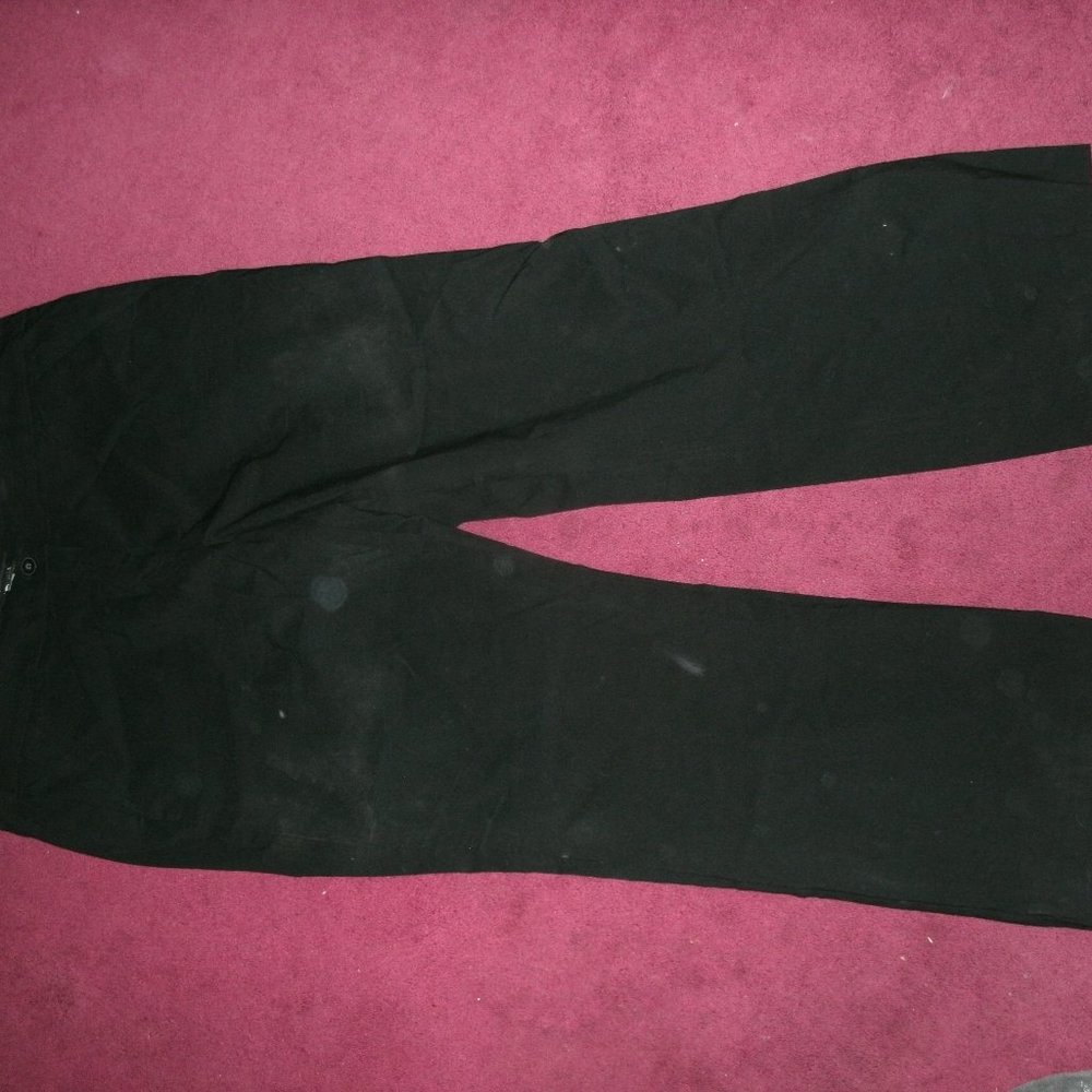 Lane Bryant Dress Pants